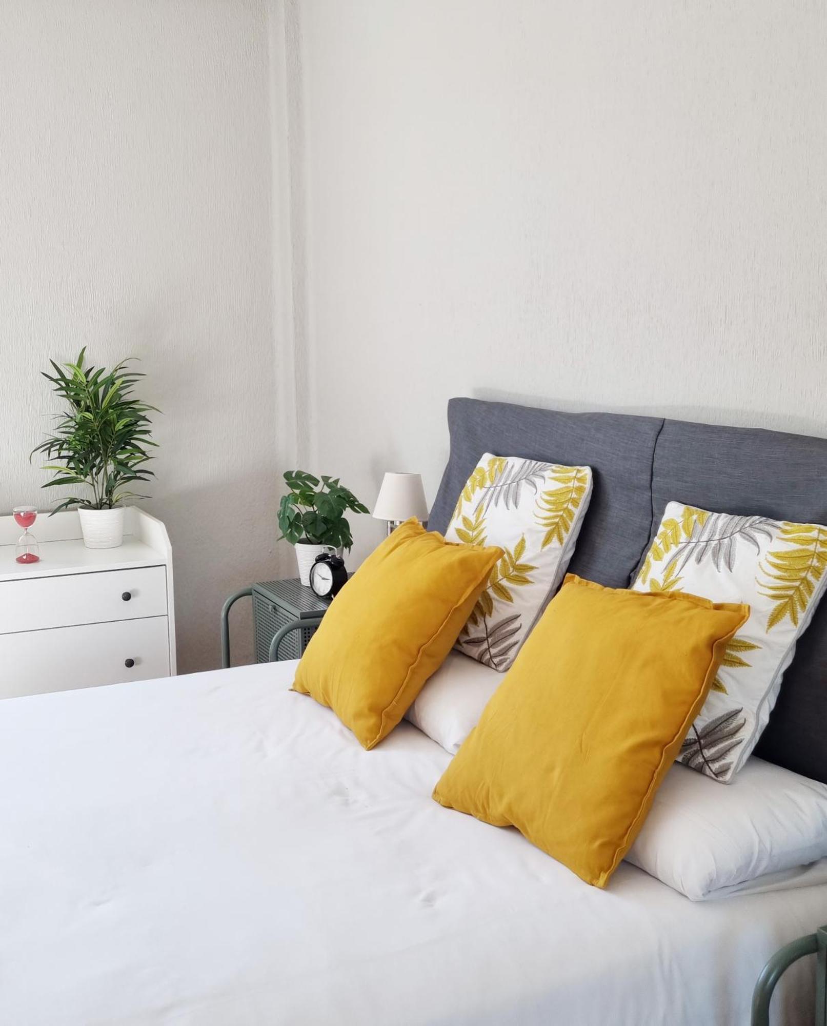 Dehesa Centro Apartment